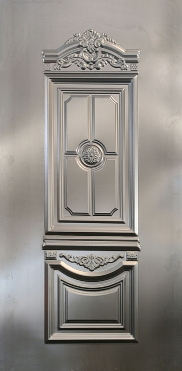 Various Designs Steel Door Panel