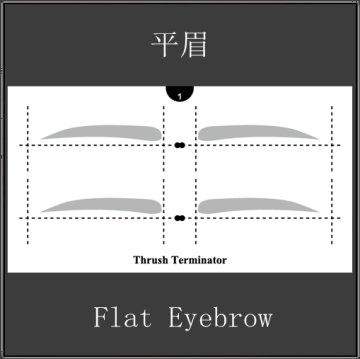 Eyebrow Makeup tools cosmetics makeup