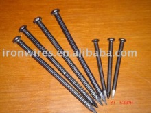 galvanized iron nails