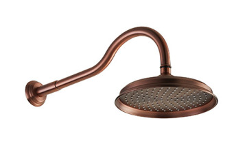 Red Ancient Bronze Shower Arm Suit