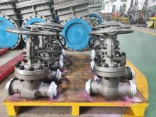 2-1/2" 600LB WCB Gate Valve