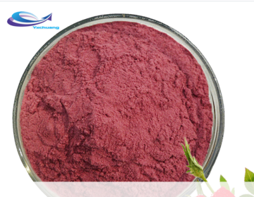 Best Price Aronia Fruit Powder