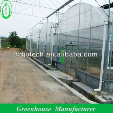 12mm Diy Polycarbonate Greenhouse