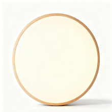 LED Ceiling Light for Retail Display