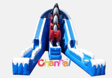 Raging Rapids Penguin Water Slide/Titanic Inflatable Slide Bb066