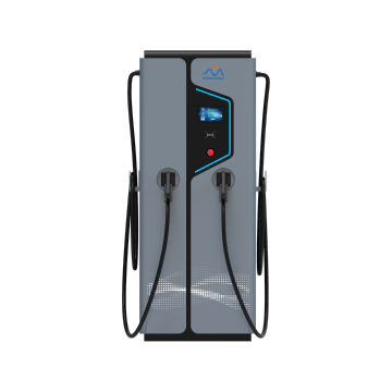 Dual-Gun Intelligent EV Station