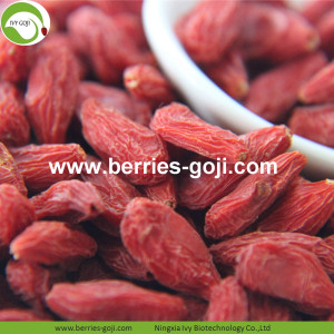 Giảm cân Fuit tự nhiên Hàng loạt Goji Berries