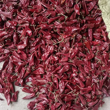 Wholesale Yidu Chilli Beijinghong Dried Chili