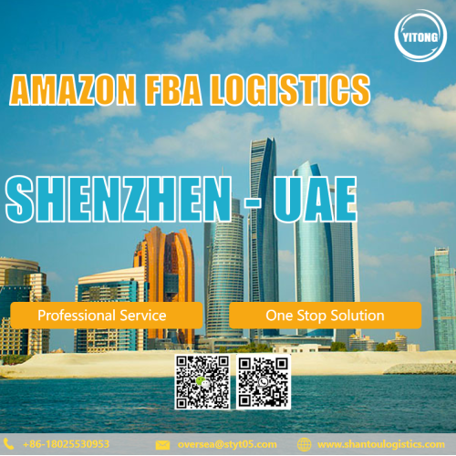 Amazon FBA Logistics Freight Service van Sh Enzhen naar de deur tot deur van de VAE