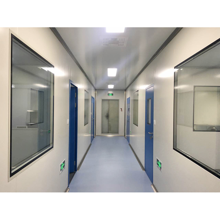 Professional clean room cleanroom project with purification pipework installation company