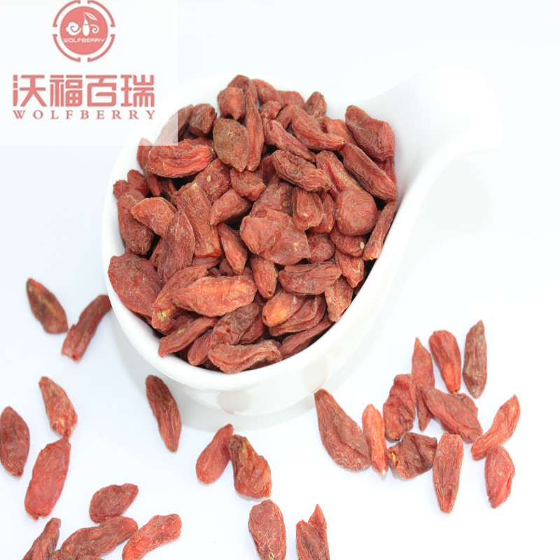 Wolfberry / Lycium Barbarum / Free Sample goji berry