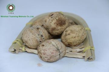 Walnuts in shell 185# ,3.2CM+from Yunnan