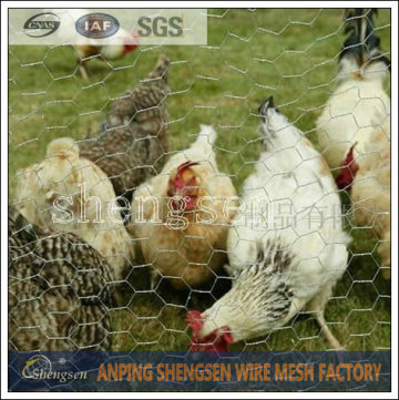 hexagonal chicken wire mesh made in China