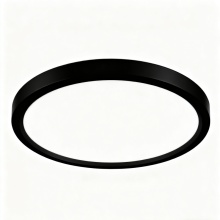 Soft Light LED Ceiling Fixture