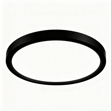 Soft Light LED Ceiling Fixture