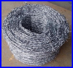 BV/SGS hot dipped galvanized barbed wire