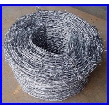 SGS electro galvanized barbed wire for sales