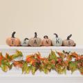 Thanksgiving 6 pcs Hand-Painted Pumpkins Fall House Decor