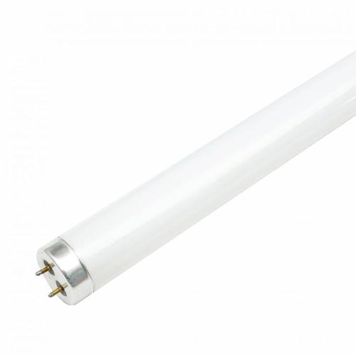 Tubo para lâmpada fluorescente T8 18 &quot;uvb