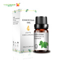 cosmetic grade piperita peppermint oil for massage