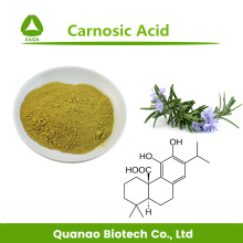 Extracto de Salvia japonica ácido carnosico 20% en polvo