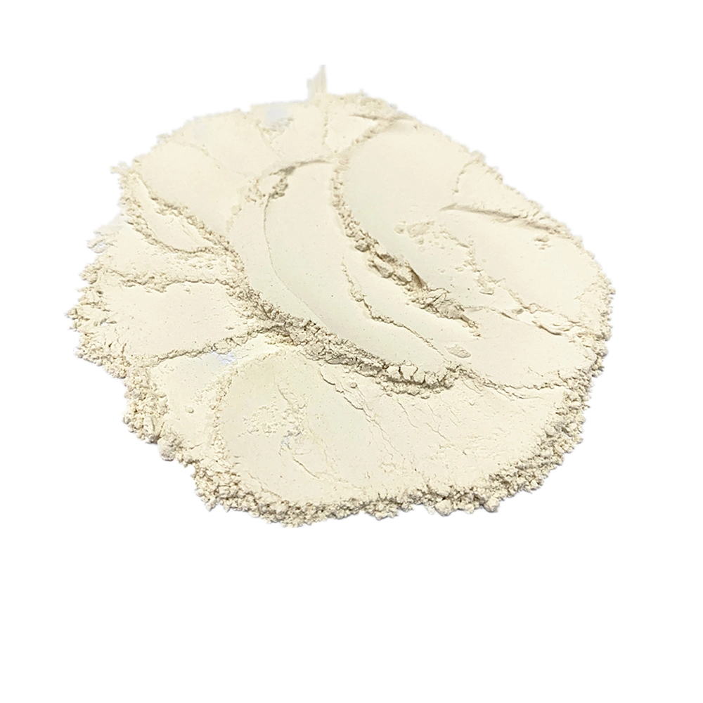 Dehydrated White Onion Powder for Free Sample