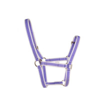 Equestrian Equipment Breakaway Horse Halter