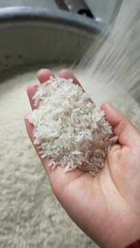 Integrated Rice Mill Unit for 1000kg/h