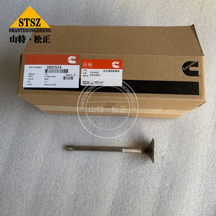 3803524 2 Jpg 3803524 2 Jpg