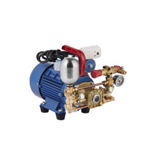 High Pressure Electric Garden Power Sprayer Pump