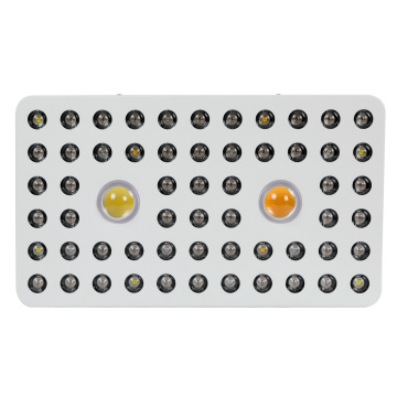 Oprawa Cree CXA2530 COB LED do uprawy