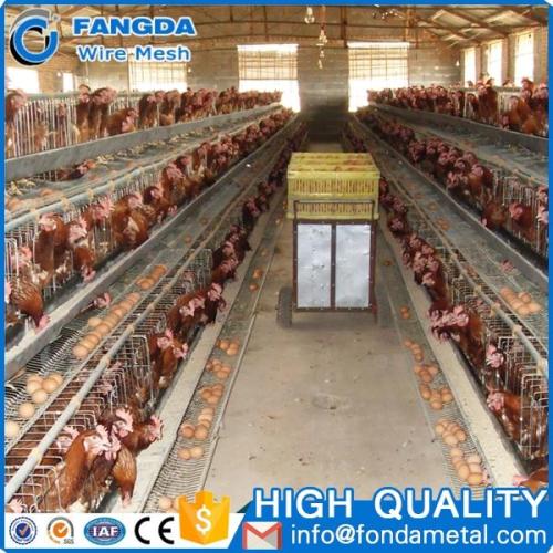 H type Capacity 120 broiler chickens broiler battery cage for growing broiler cage system HJ-HC120