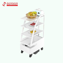 Waiter Waitress Delivery Robot