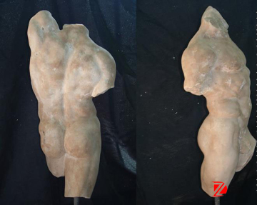 Human torso model statue