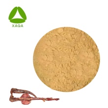 Male Sexual Enhancement Material Deer Whip Extract Powder