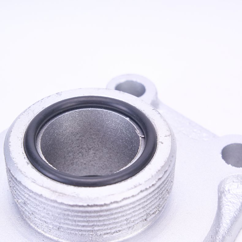 filter flange