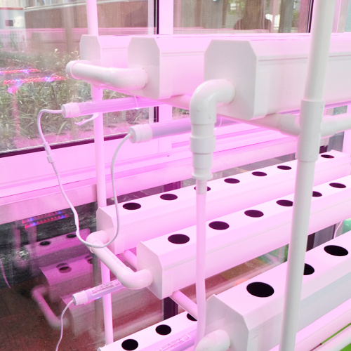 NFT Hydroponic System for home with led