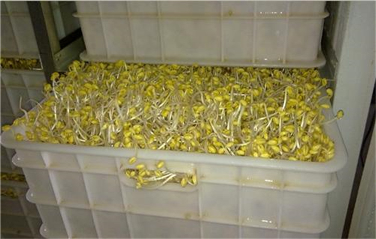 Multi-function hydroponic growing systems greenhouse