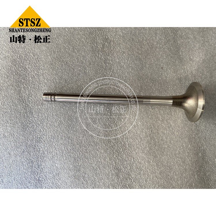 3803519 4 Jpg 3803519 4 Jpg