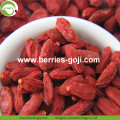 Approvisionnement d'usine naturel Baies de fruit de catégorie A de Goji