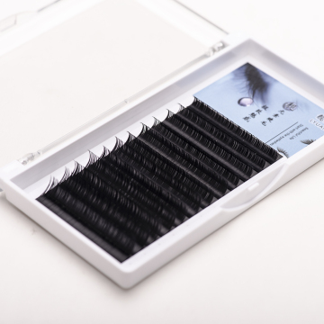 Korean Individual Fans Lashes Eyelashes Extension