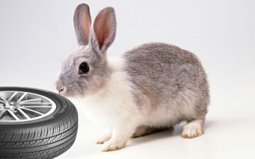 wholesale tyre dealers