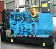 China supplier Economical Energy-saving Biogas10kw generation set