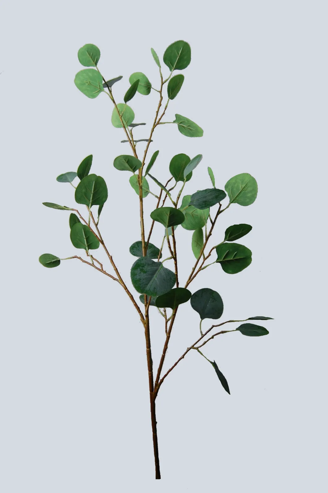 PE Factory Direct Sale Silk Artificial Plant Eucalyptus for Home Decoration (50681)