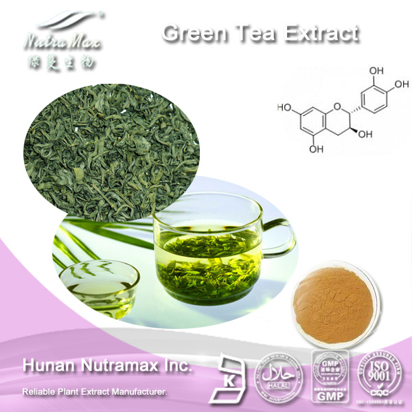 100% Pure Green Tea Extract (Tea Polyphenols 20%~98%, Catechins 20%~80%, EGCG 10%~50%)