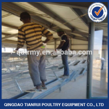 A type automatic chicken layer cage for sale in philippines