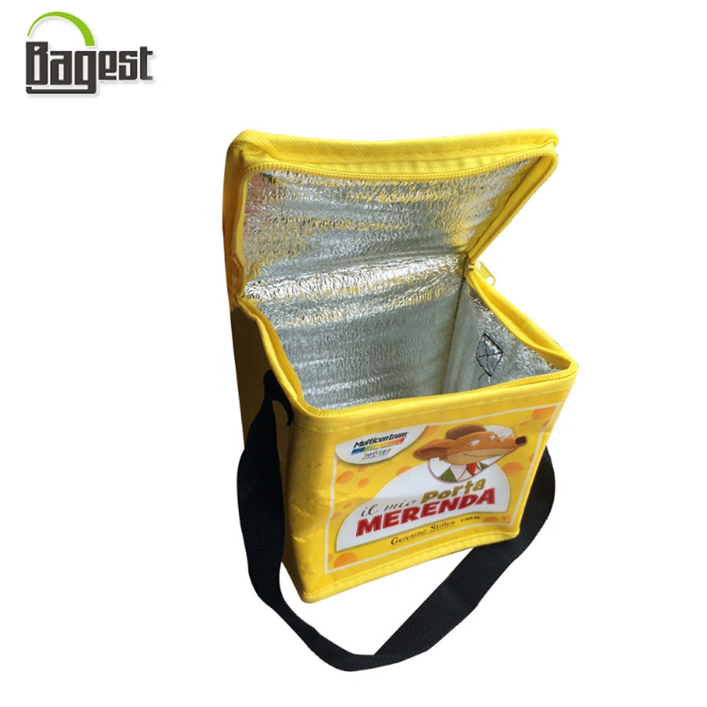 Professional Manufacture Cheap Non Woven Fitness Insulated Cooler Bags