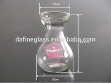 hydroponics soilless agriculture glass jar glass vase glass flower pots