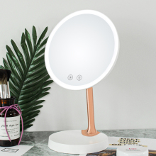 Vanity Mirror with LED Brightness Adjustment