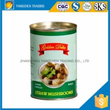 Hot selling straw mushroom in tins